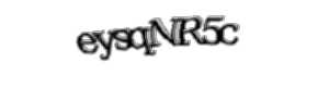 Security check image, please type the characters shown